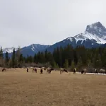 Enchanted Mountain Getaway